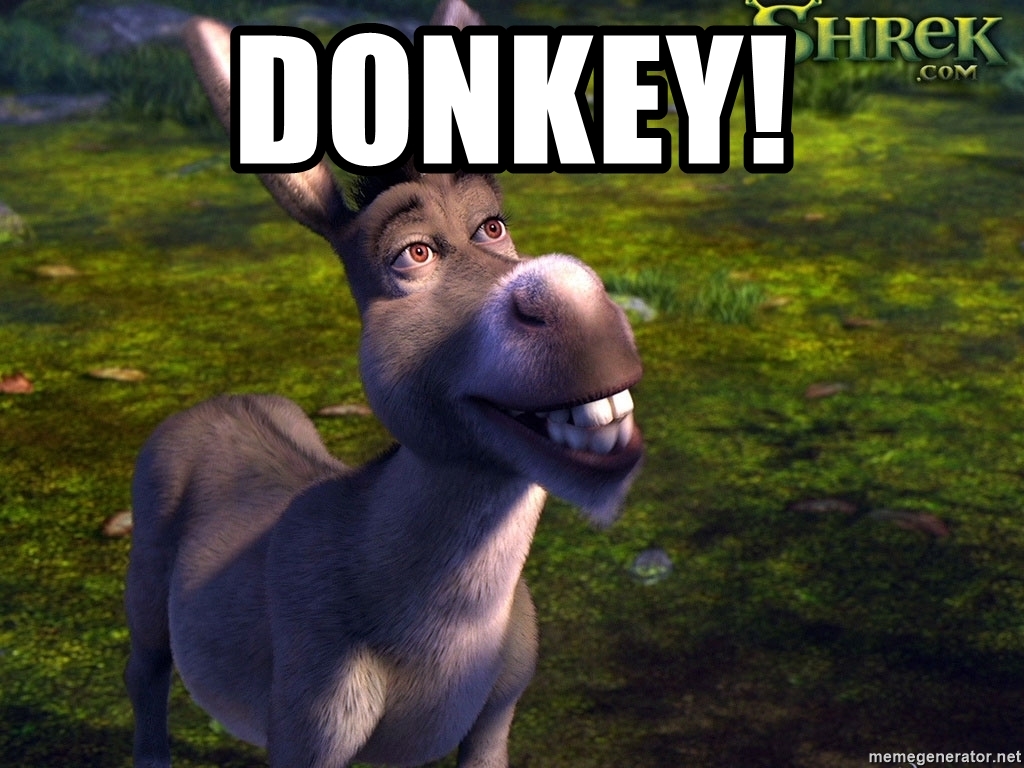 donkey